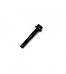 Flange screw 973924